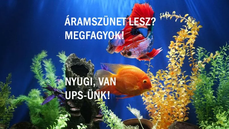 Akváriumok, terráriumok védelme áramszünetkor